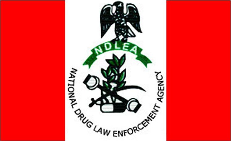 The National Drug Law Enforcement Agency (NDLEA)