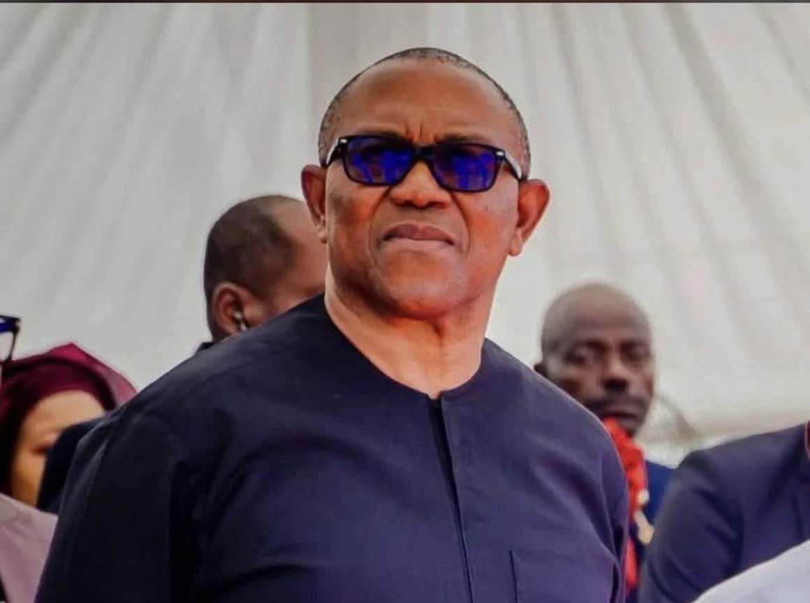 Former presidential candidate Peter Obi
