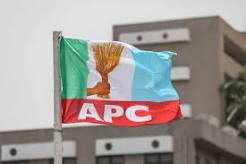 All Progressives Congress (APC)