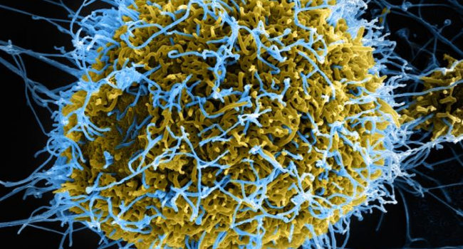 Ebola