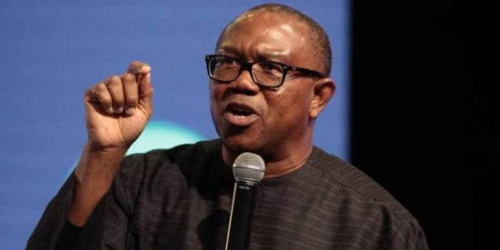 Former Labour party presidential candidate, Peter Obi