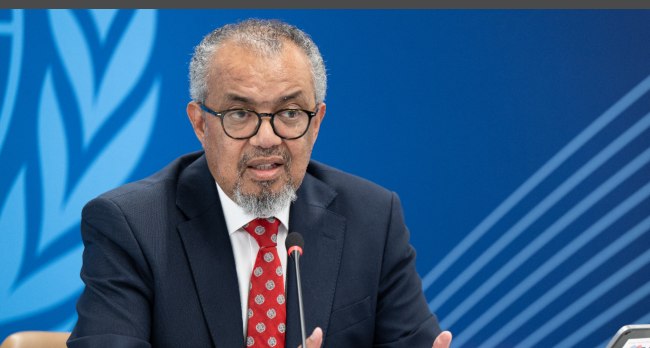 This handhout photograph taken and released on May 7, 2026 by the World Health Organization (WHO) shows its Director-General Tedros Adhanom Ghebreyesus speaking during a virtual press conference on the hantavirus cluster linked to a cruise ship travel, at the WHO headquarters, in Geneva.