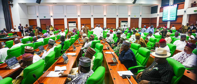 A file photo of members of the House of Reps. Photo: X@HouseNGR