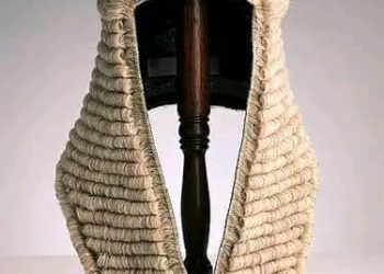 court-lawyer-wig