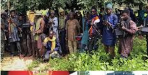Son of Late Maj. Gen. Rabe Abubakar Challenges Official Narrative, Demands Answers on Recovery of Father’s Corpse Amid Conflicting Reports on Cause of Death