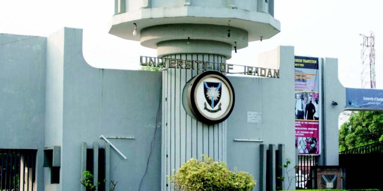 the University of Ibadan (UI)