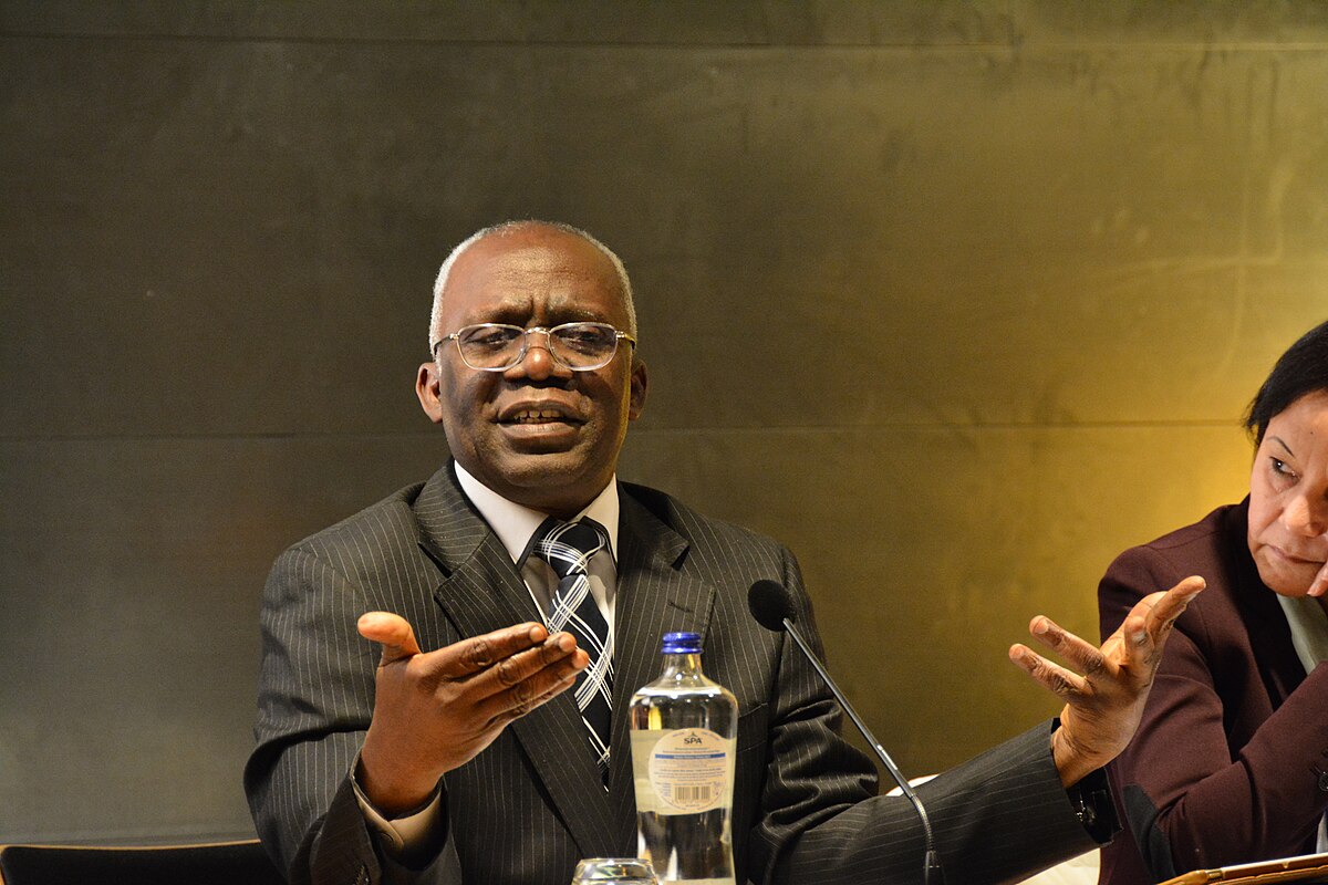 Femi-Falana.