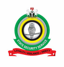 DSS logo